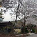 계곡맑은하늘펜션 이미지