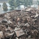 약목목욕탕 이미지