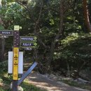 팔공산올레길 1코스 이미지