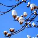 웃는시간 이미지