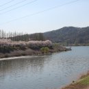 충주천제방길 이미지