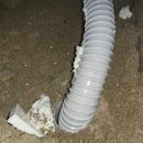 덕풍동로 이미지