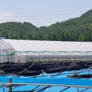 김성훈농장 이미지