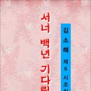 서너 백년 기다릴게 / 김소해 시조집 (전자책) 이미지