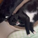 김밥사랑청구점 | <9/1~7>느슨해질 일상속에 새벽기도 추가 저저저저저저저저저저저저저저번주 일주일