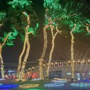 축제광장 및 수변공원 이미지