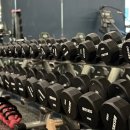 디벨롭짐 이미지