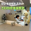 길동물병원 | 성남 위례 동물병원 스타의료동물병원 프로모션 가입 후기