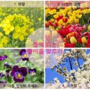 봄텔레콤 이미지