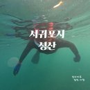 표선해수욕장(샤워장) | 성산항 여객터미널, 서귀포 스노쿨링 (성산 포인트), 표선해수욕장 차박, 뿔소라 짬뽕, 갈치튀김