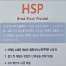 콜렌60도 네이버블로그