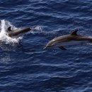 CW-1152-01 이미지