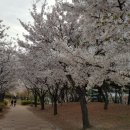 중앙공원 안 이미지