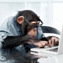 인터넷월드 이미지