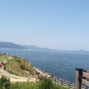 지세포친수공간 이미지