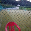 영천검도관 이미지