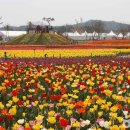 튜울립지역아동센터 이미지