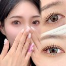 몽레쓸