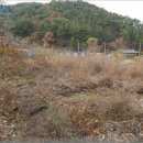 완월동282 이미지