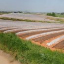 대산면911 이미지