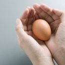 푸드마루 이미지