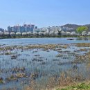 청수호수공원 이미지