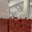 뉴소프트치킨 | 고척 코스트코1월 넷째주 할인상품 &amp; 신상품 총정리