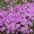 산속등대 야외공연장 이미지