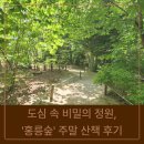2015048 | [서울 아이와 가볼 만한 곳] 도심 속 비밀의 정원, 초록 가득한 '홍릉숲' 주말 산책 후기
