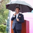 백운산 솔밭 앞 이미지