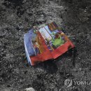 비선농장 이미지