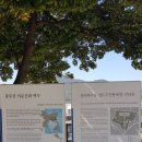정자횟집18호 | 여수여행기, 돌산해수타운 비추(솔직후기)...