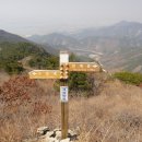 심*봉