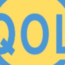 큐오엘(QOL)