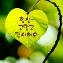 아람장식 이미지