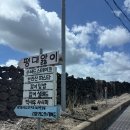 제주앓이 | 제주 구좌읍 맛집, 평대앓이에서 맛본 특별한 제주