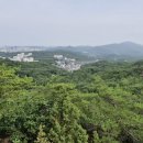 은평-066 네이버블로그
