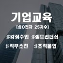 펜타클러닝주