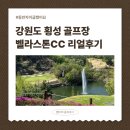 벨라스톤 컨트리클럽 | 강원도 벨라스톤CC 내돈내산 후기 (코스꿀팁, 그늘집, 맛집추천, 동반자 이글)