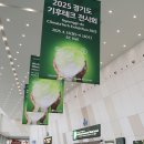 글로벌벤처투어 이미지