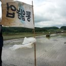 홍수농장 이미지