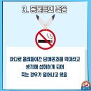 너담 이미지