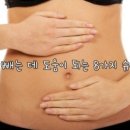 도움푸드 이미지