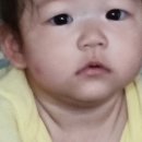 카페셔니