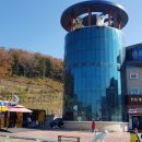 진도개천국 이미지