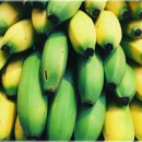 생활웃음 이미지