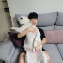 봉주르봉 이미지