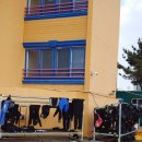 우리동네잠수하는형 | [제주도 스킨스쿠버체험]제주 함덕바다 스킨스쿠버체험후기_우리동네 잠수하는형 에서 예약했어요!