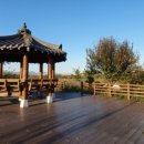 극락둑길 이미지