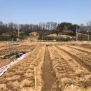 참빛농장 이미지